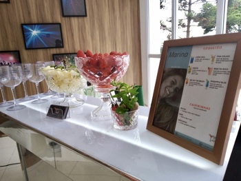 Cascata de Chocolate para Festa de Debutantes em Água Funda